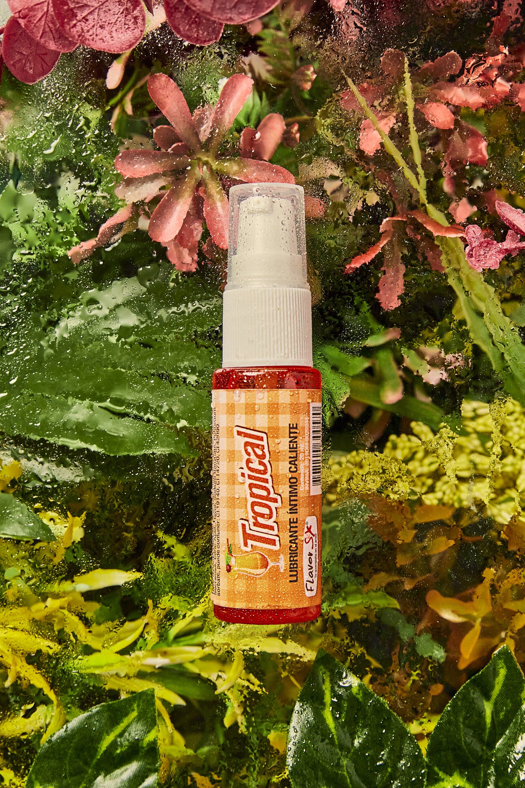 Tropical Alta